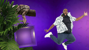 Vignette du programme télé Les 100 vidéos qui ont fait rire le monde entier