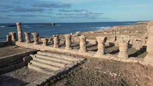 Vignette du programme télé Des racines et des ailes