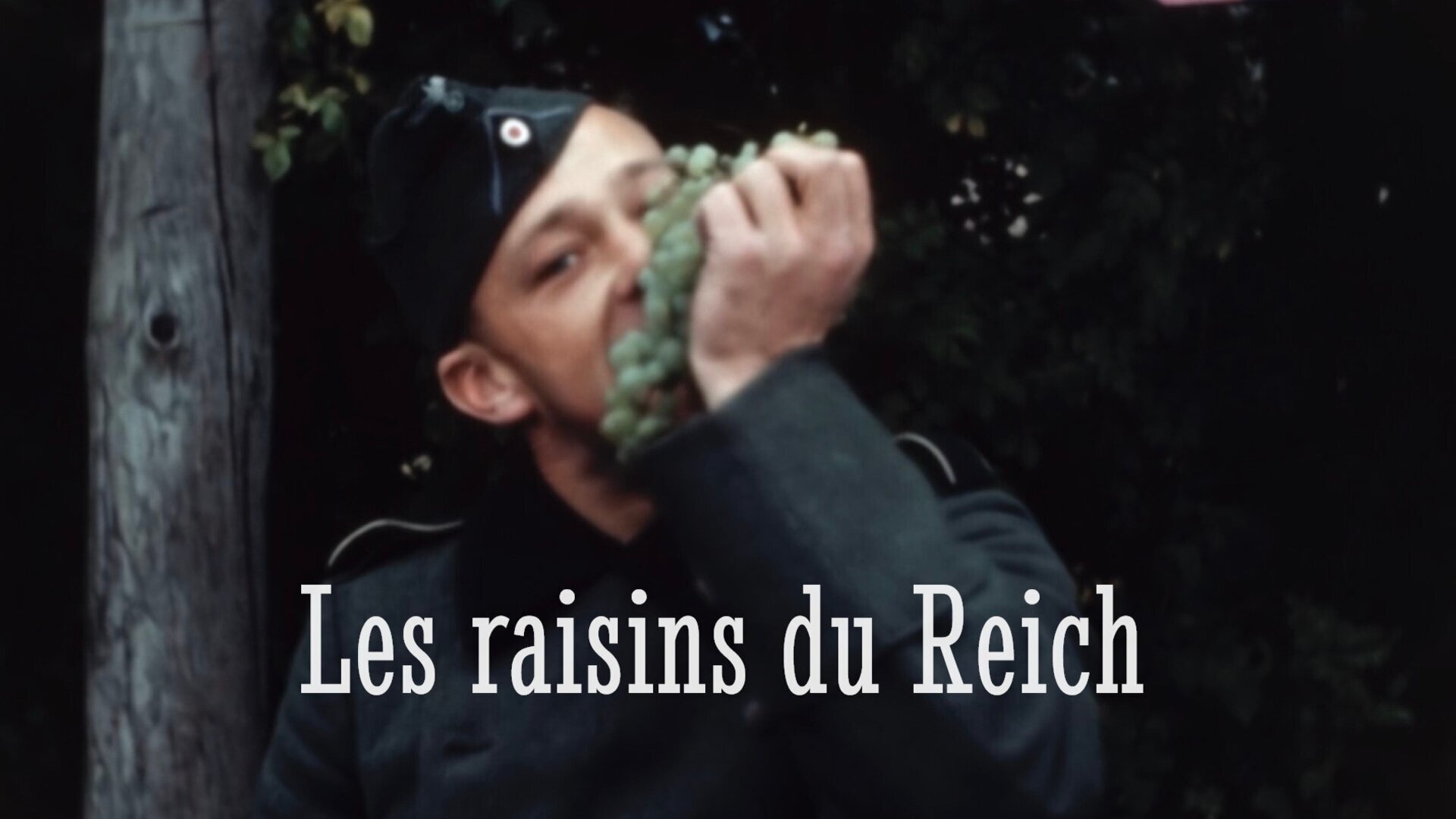 Vignette du programme télé Les raisins du Reich