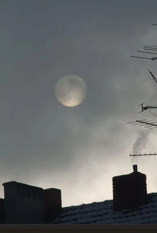 Vignette du programme télé Programmes de la nuit