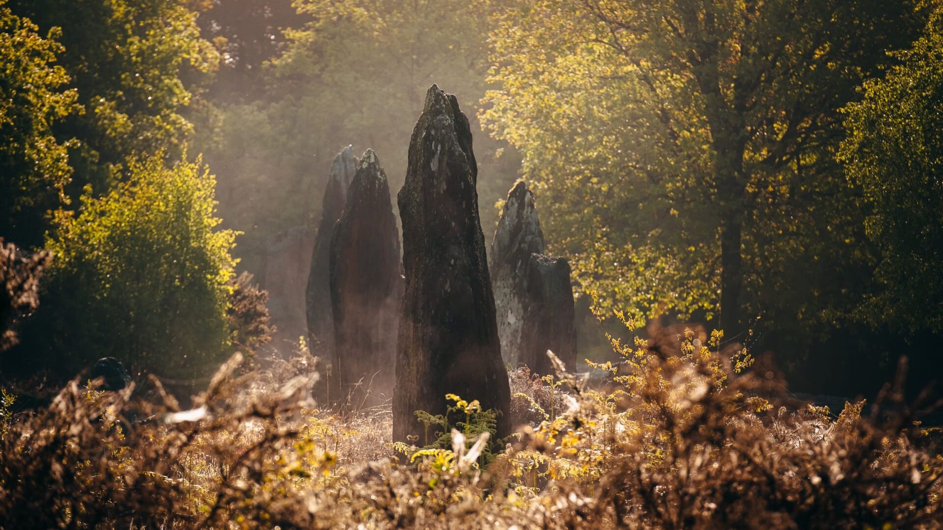 Vignette du programme télé Celtes : les mystères d'une civilisation disparue