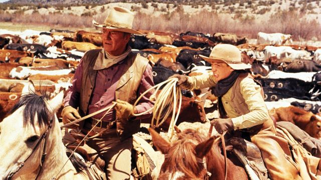 Vignette du programme télé Les cow-boys