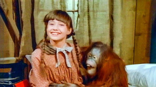 Vignette du programme télé La petite maison dans la prairie - Saison 9