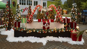 Vignette du programme télé Un sapin de Noël, deux amoureux