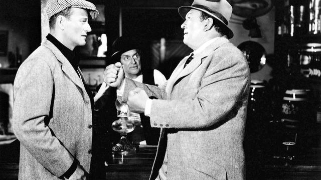 Vignette du programme télé L'homme tranquille