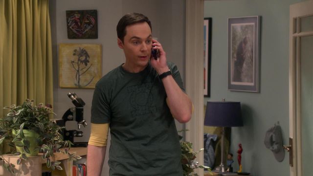 Vignette du programme télé Big Bang Theory - Saison 11