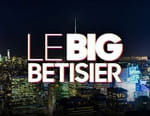 Vignette du programme télé Le big bêtisier