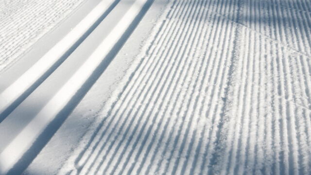 Vignette du programme télé M et Mme Lambert : Noël d'enfer