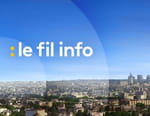 Vignette du programme télé Le fil info