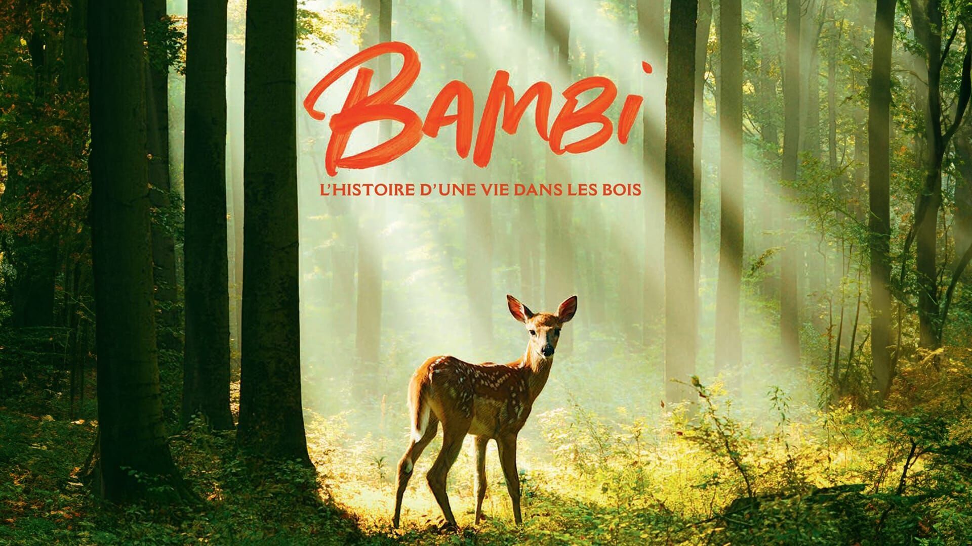 Vignette du programme télé Bambi, l'histoire d'une vie dans les bois