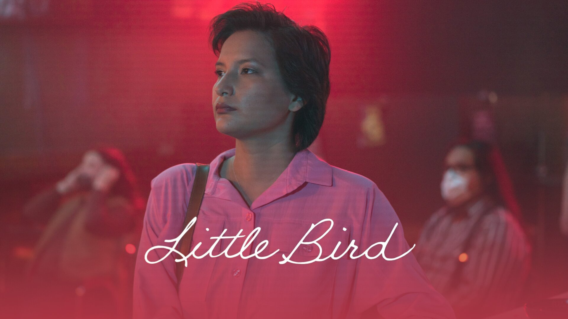 Vignette du programme télé Little Bird