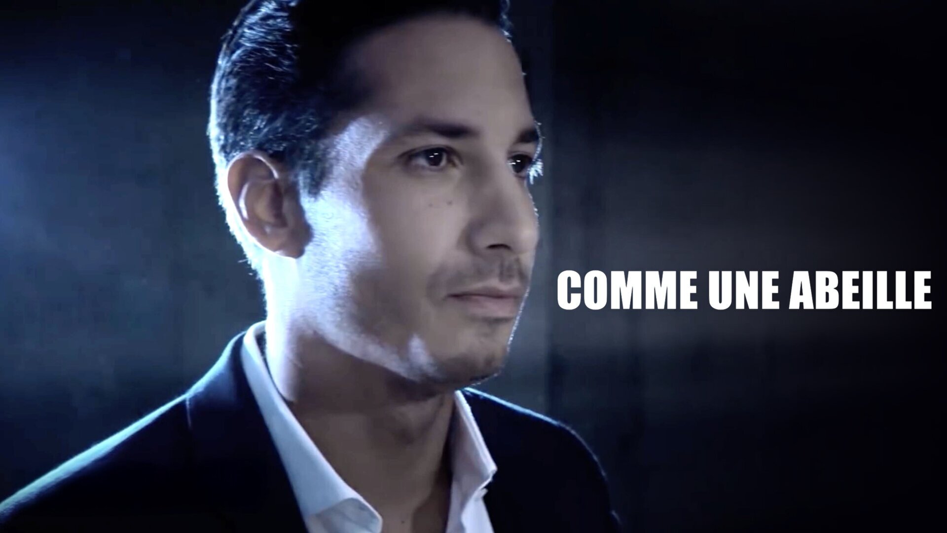 Vignette du programme télé Comme une abeille