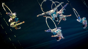 Vignette du programme télé Les Jeux du Cirque