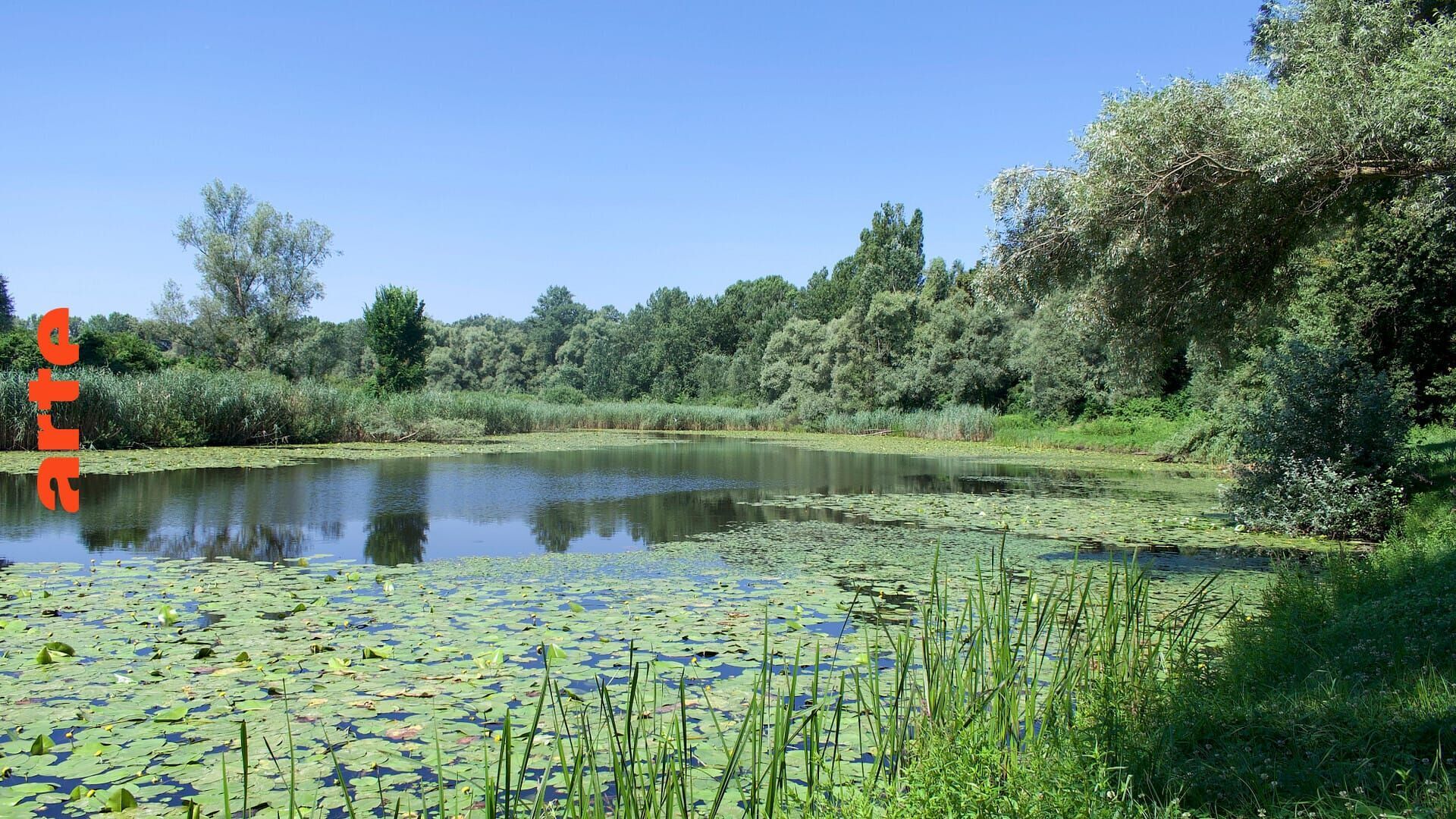 Vignette du programme télé Au coeur de l'Amazonie européenne