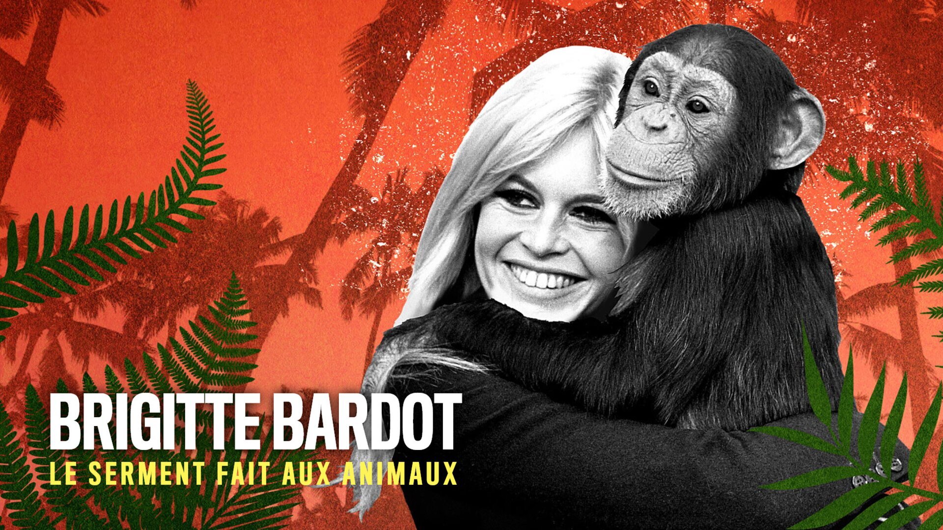 Vignette du programme télé Brigitte Bardot : le serment fait aux animaux