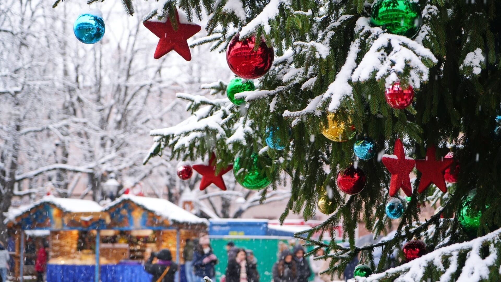 Vignette du programme télé Vu de l'année 2025