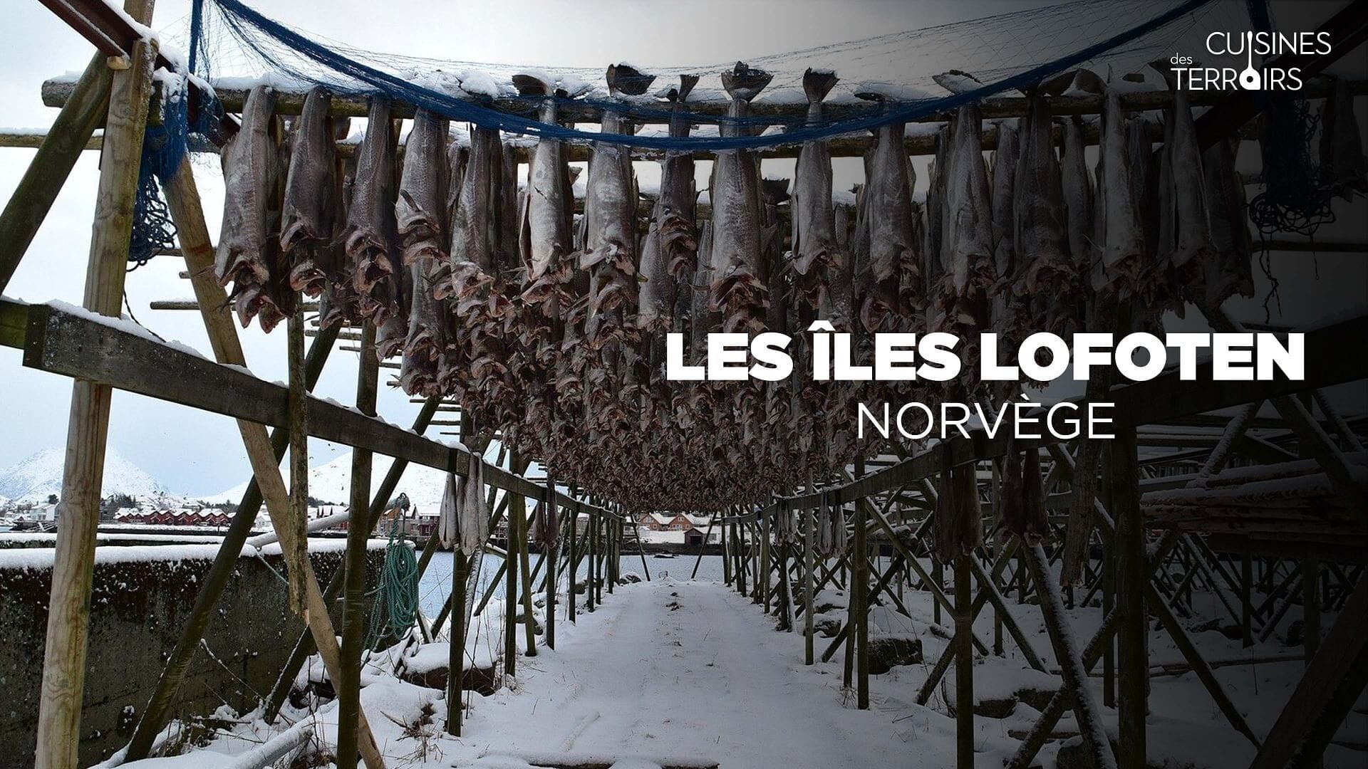 Vignette du programme télé Cuisines des terroirs