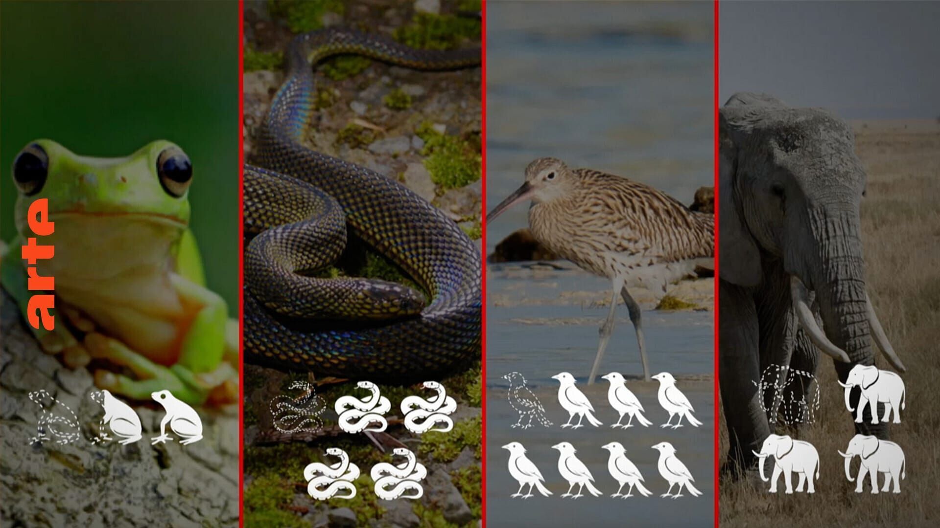 Vignette du programme télé Le dessous des cartes