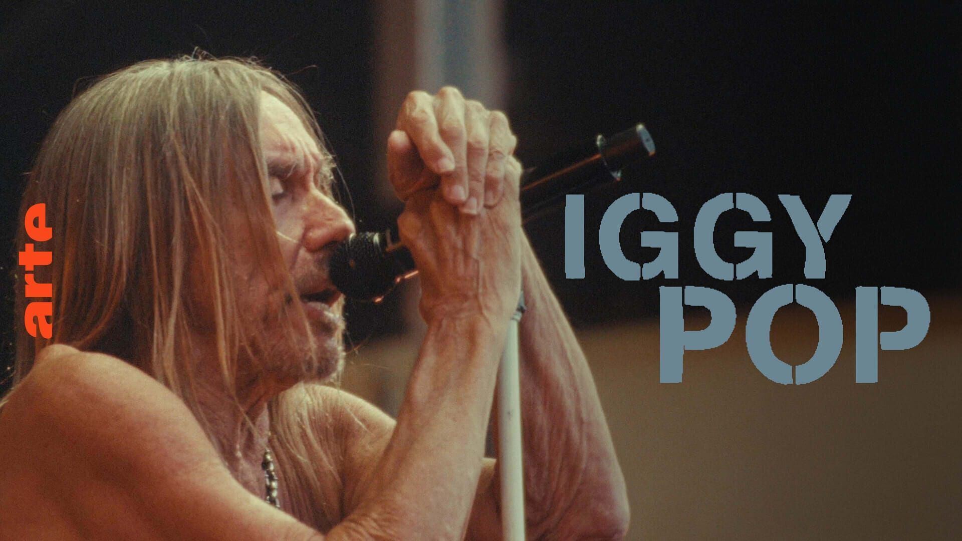 Vignette du programme télé Iggy Pop : Live à la citadelle de Spandau, Berlin
