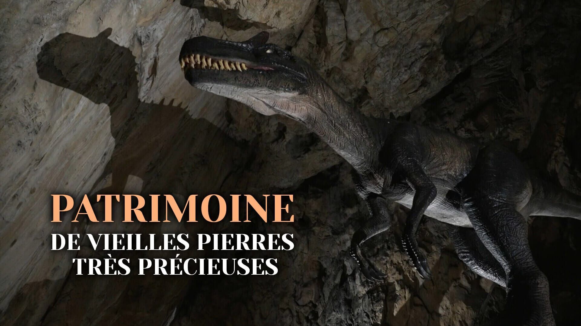 Vignette du programme télé Patrimoine, de vieilles pierres très précieuses