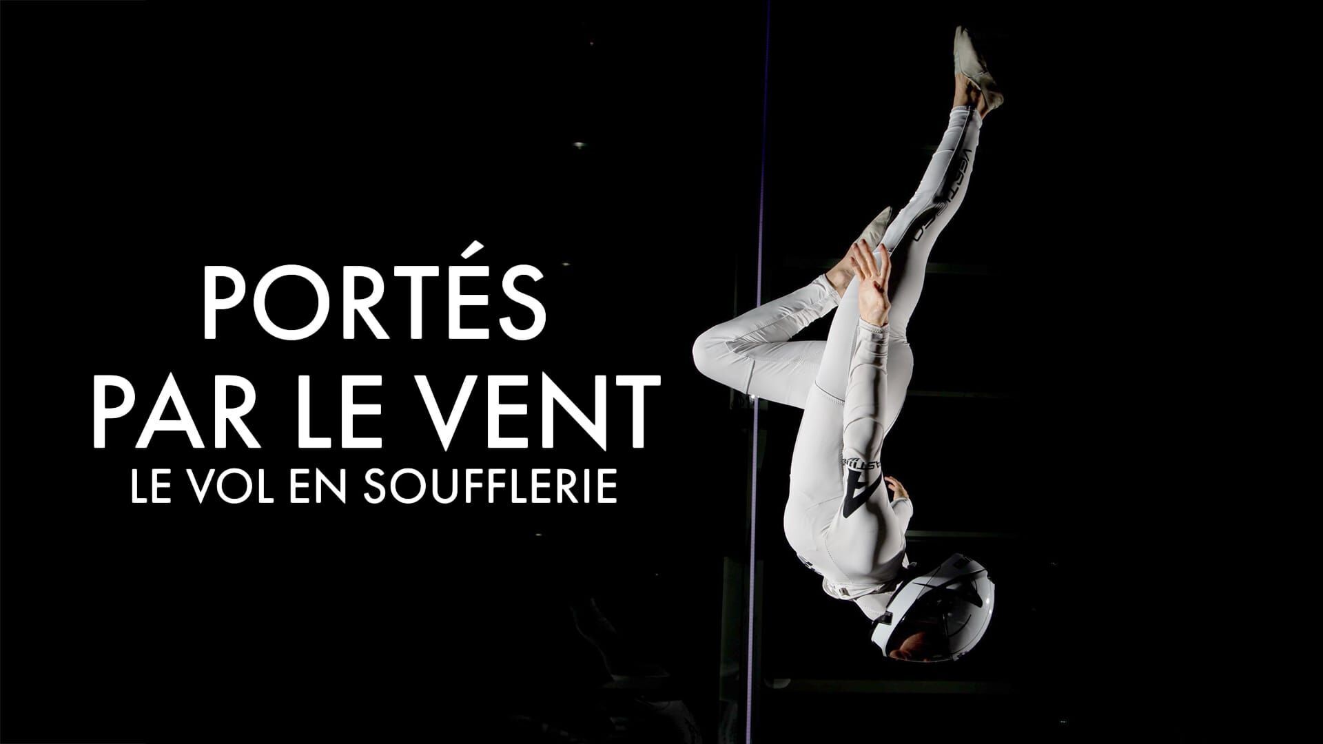 Vignette du programme télé Portés par le vent, le vol en soufflerie