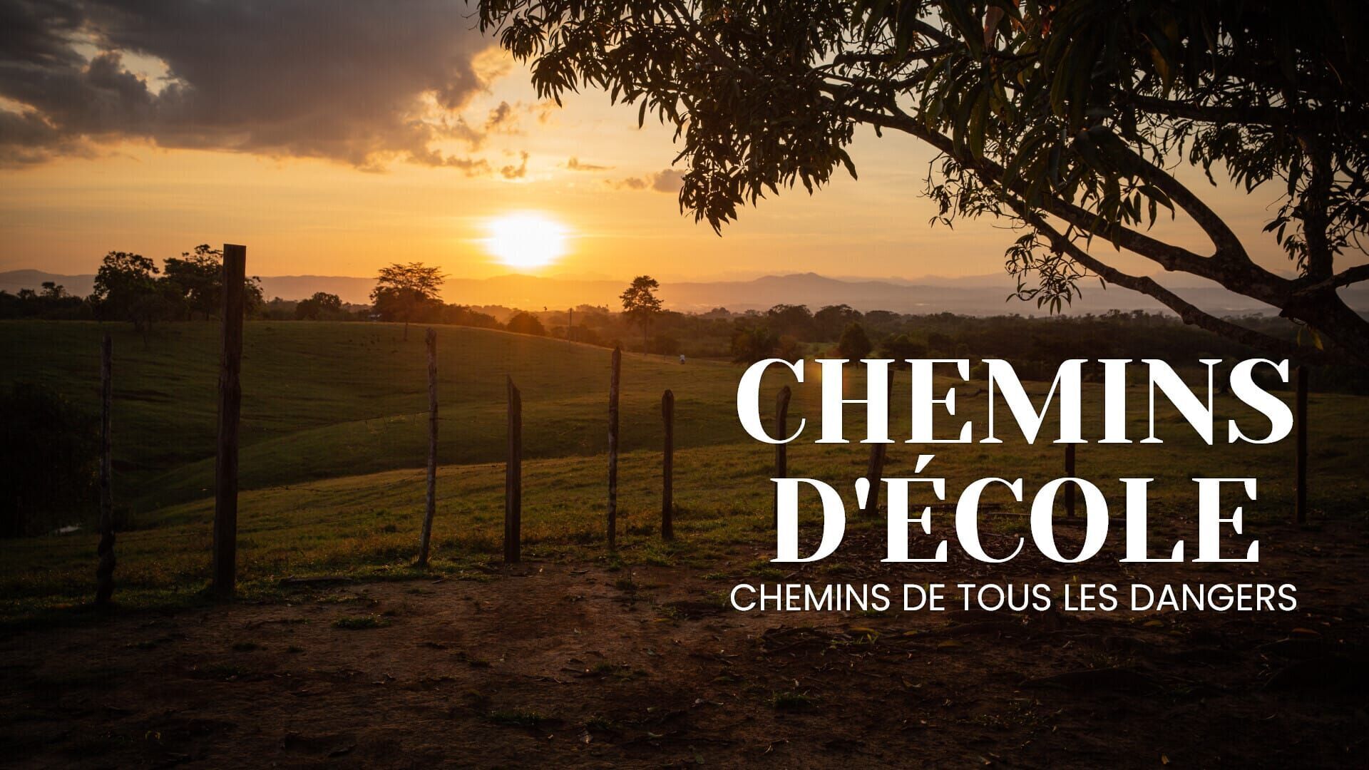 Vignette du programme télé Chemins d'école, chemins de tous les dangers