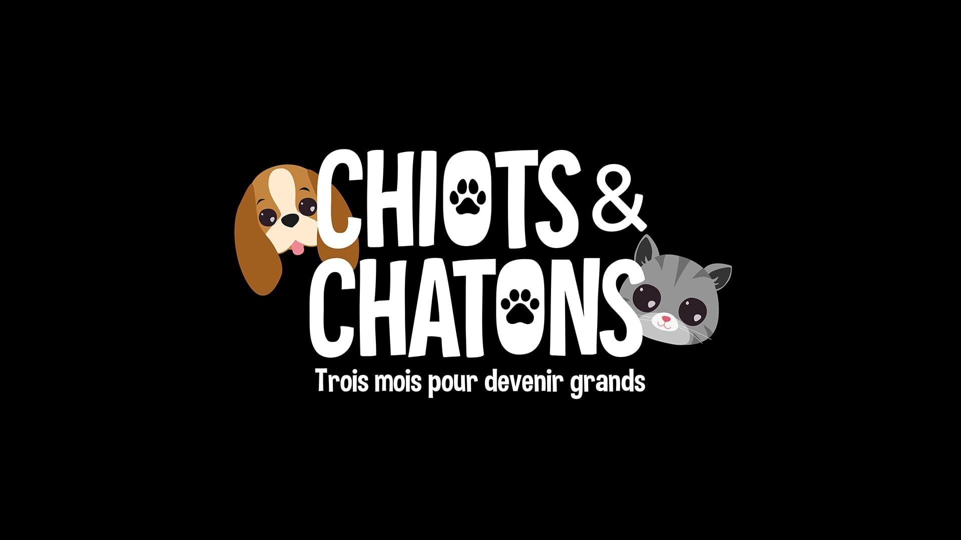 Vignette du programme télé Chiots & chatons, 3 mois pour devenir grand