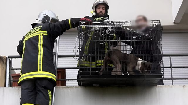 Vignette du programme télé Enquête d'action