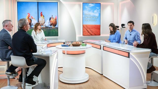 Vignette du programme télé VIP - Very Important Paysan