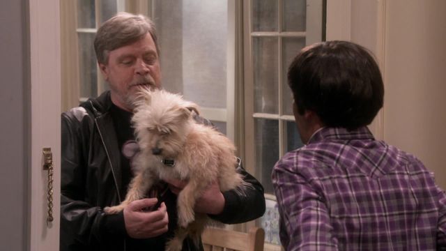 Vignette du programme télé Big Bang Theory - Saison 11