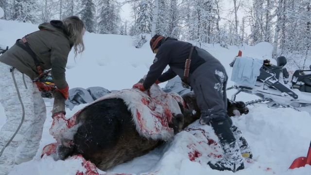 Vignette du programme télé Seuls face à l'Alaska - Saison 13