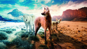 Vignette du programme télé La grande famille des chiens *2022 (Protection rapprochée) S1 (3/3)