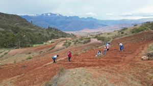 Vignette du programme télé Chaud patate ! La pomme de terre en danger