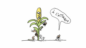 Vignette du programme télé Un jour, une question S12