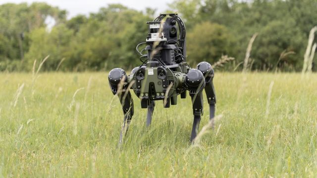 Vignette du programme télé Le journal de la Défense