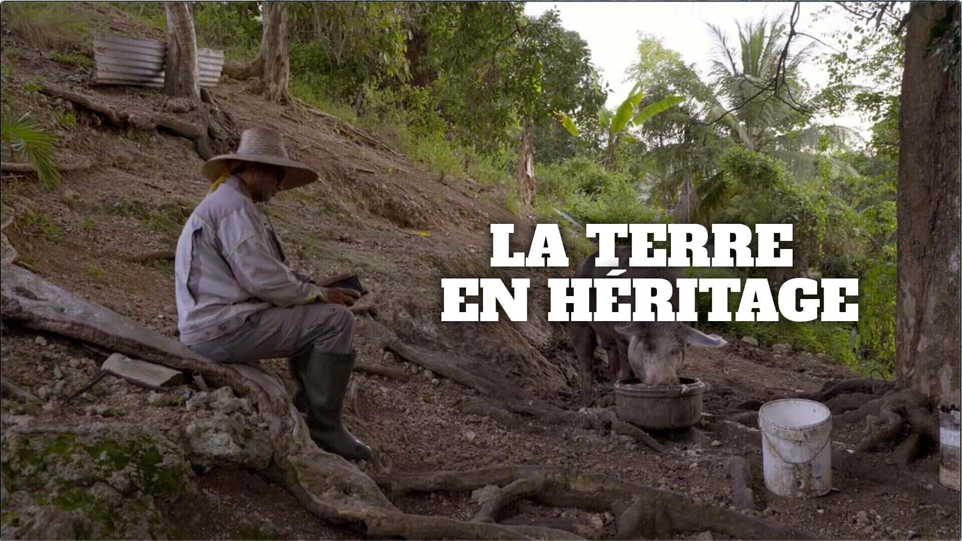 Vignette du programme télé La terre en héritage