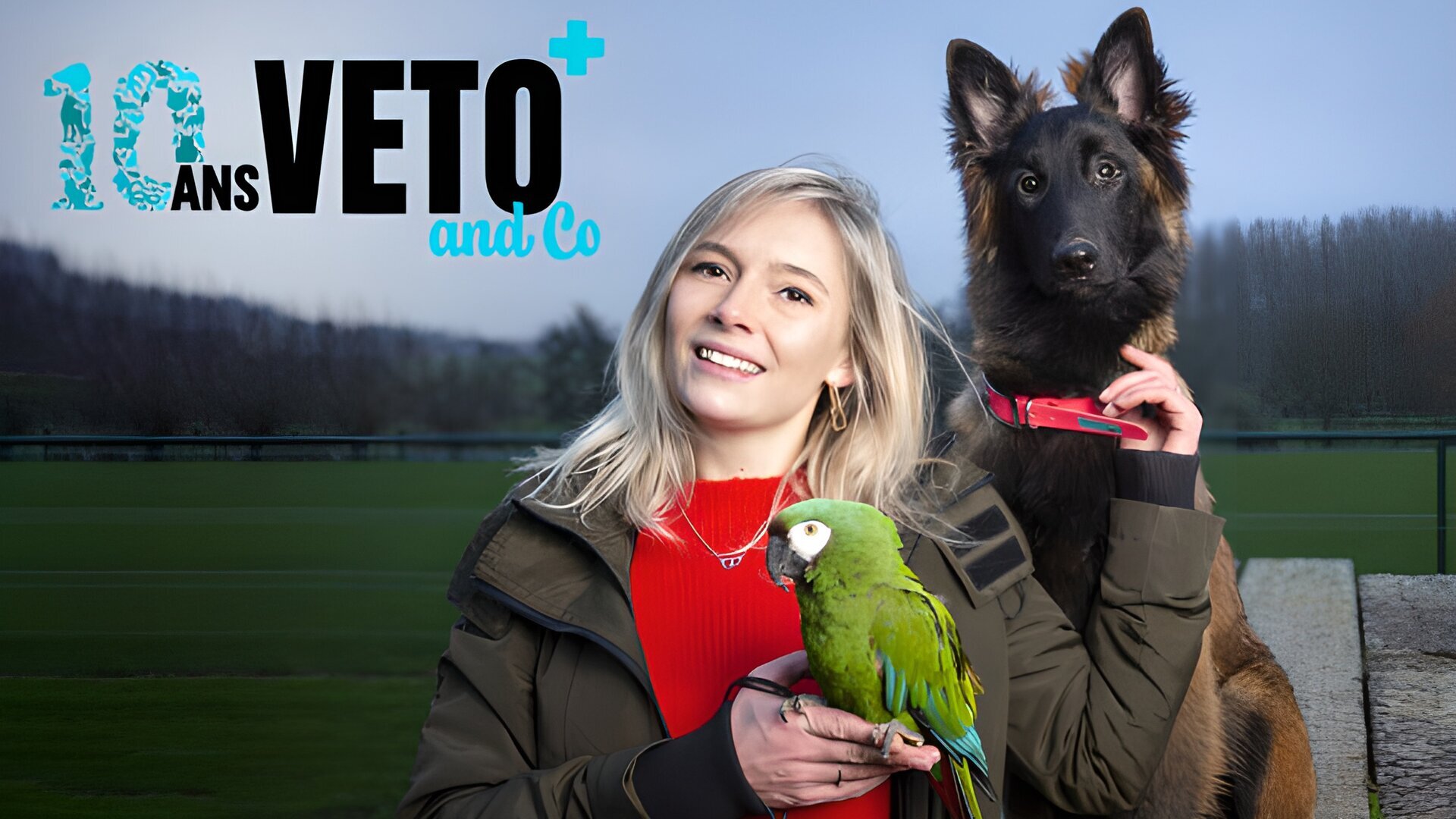 Vignette du programme télé Véto & Co