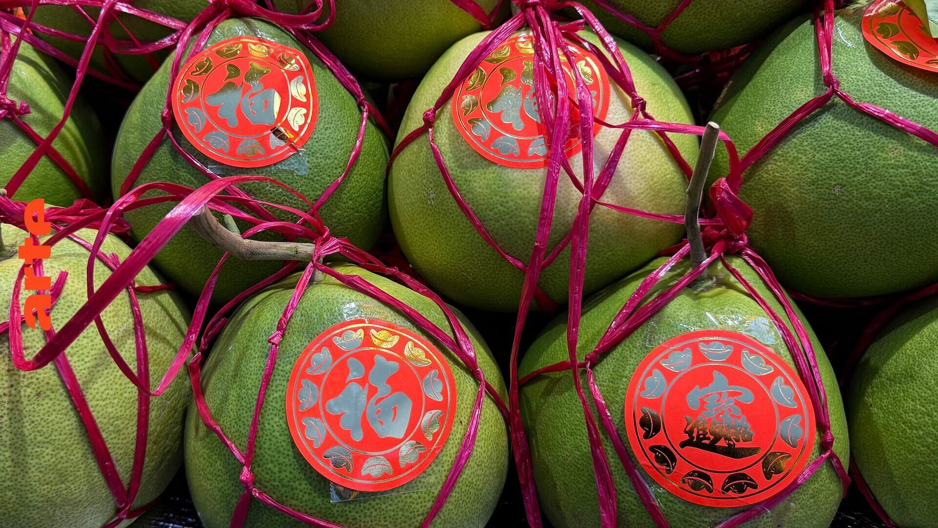 Vignette du programme télé Un monde d'agrumes