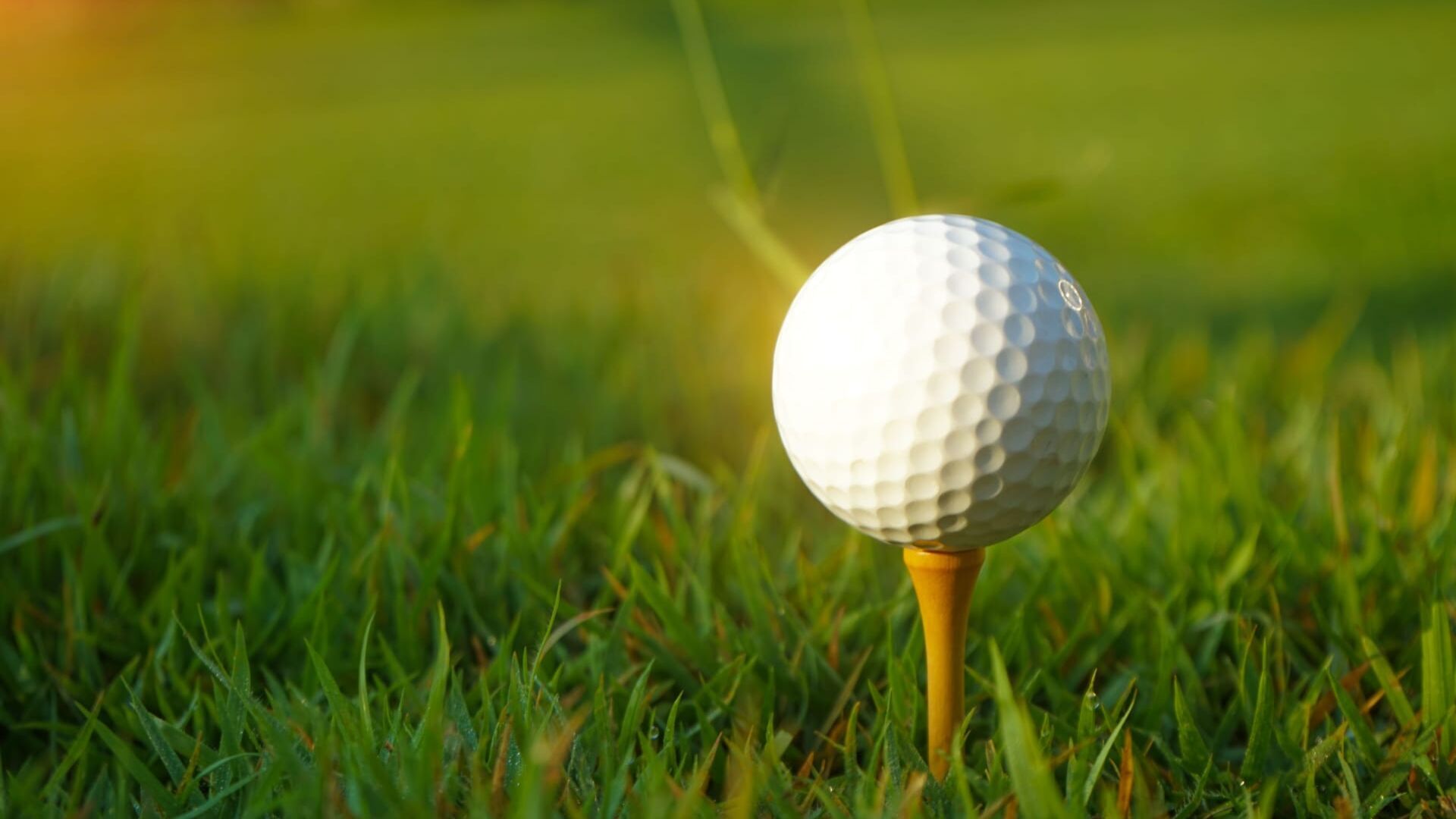 Vignette du programme télé Tiger Woods, les 50 ans d'une légende