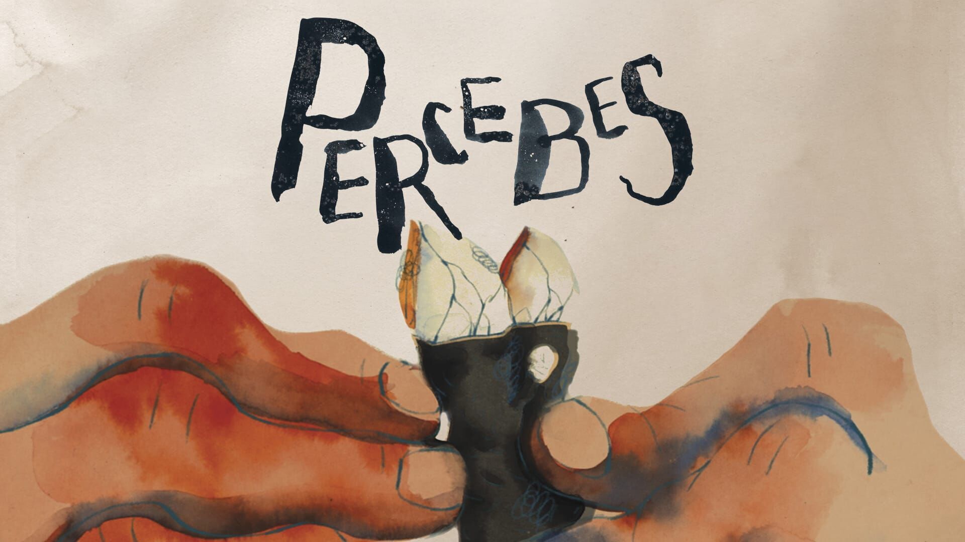 Vignette du programme télé Percebes