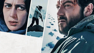 Vignette du programme télé Les Survivants