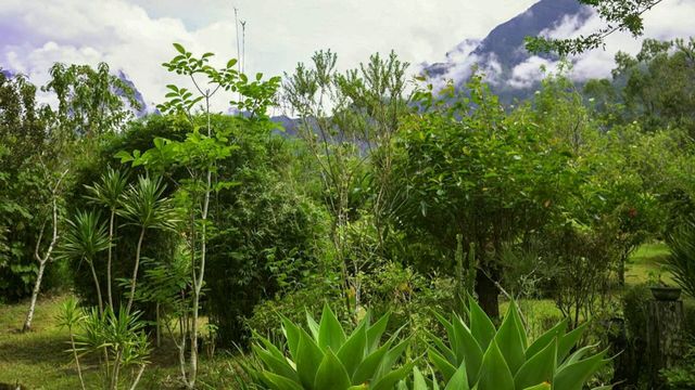 Vignette du programme télé Invitation au voyage