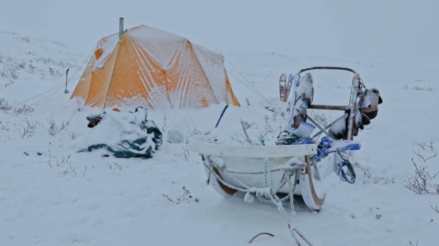 Vignette du programme télé Seuls face à l'Alaska - Saison 13