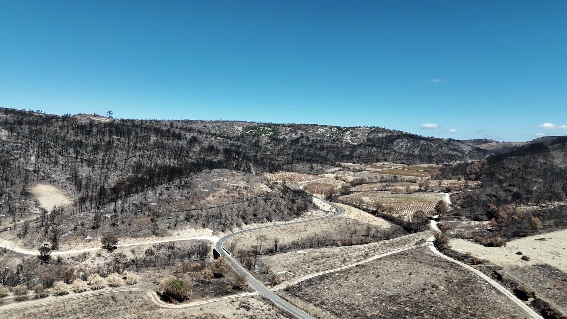 Vignette du programme télé Sénateur en action