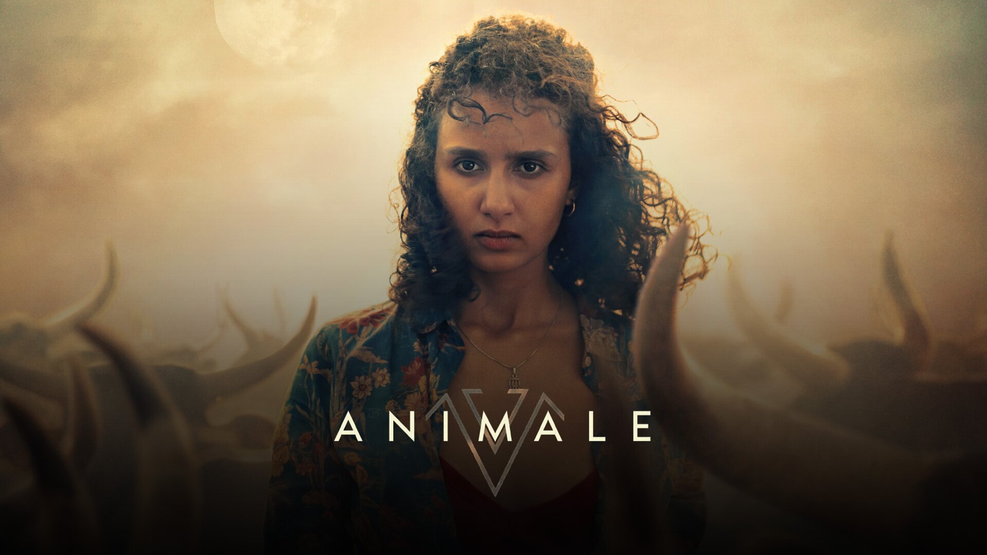 Vignette du programme télé Animale