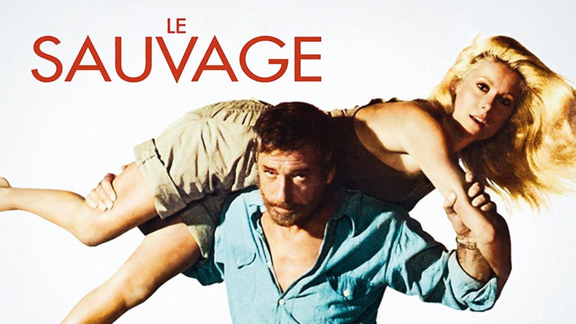Vignette du programme télé Le sauvage