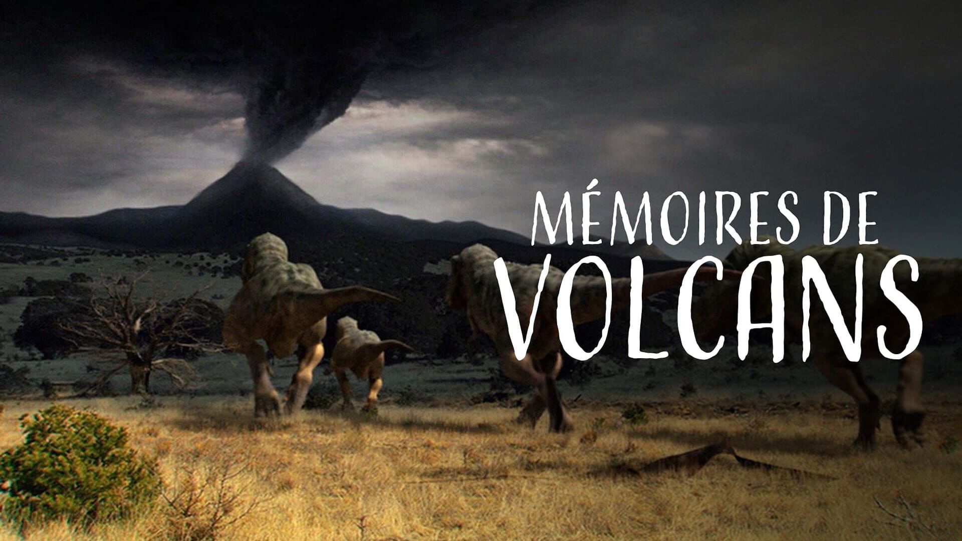 Vignette du programme télé Mémoires de volcans