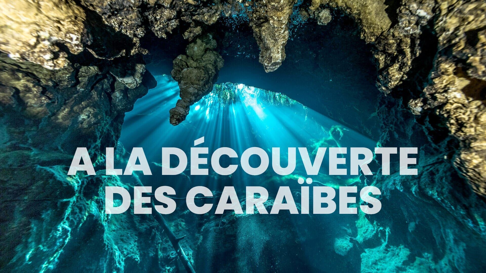 Vignette du programme télé A la découverte des Caraïbes