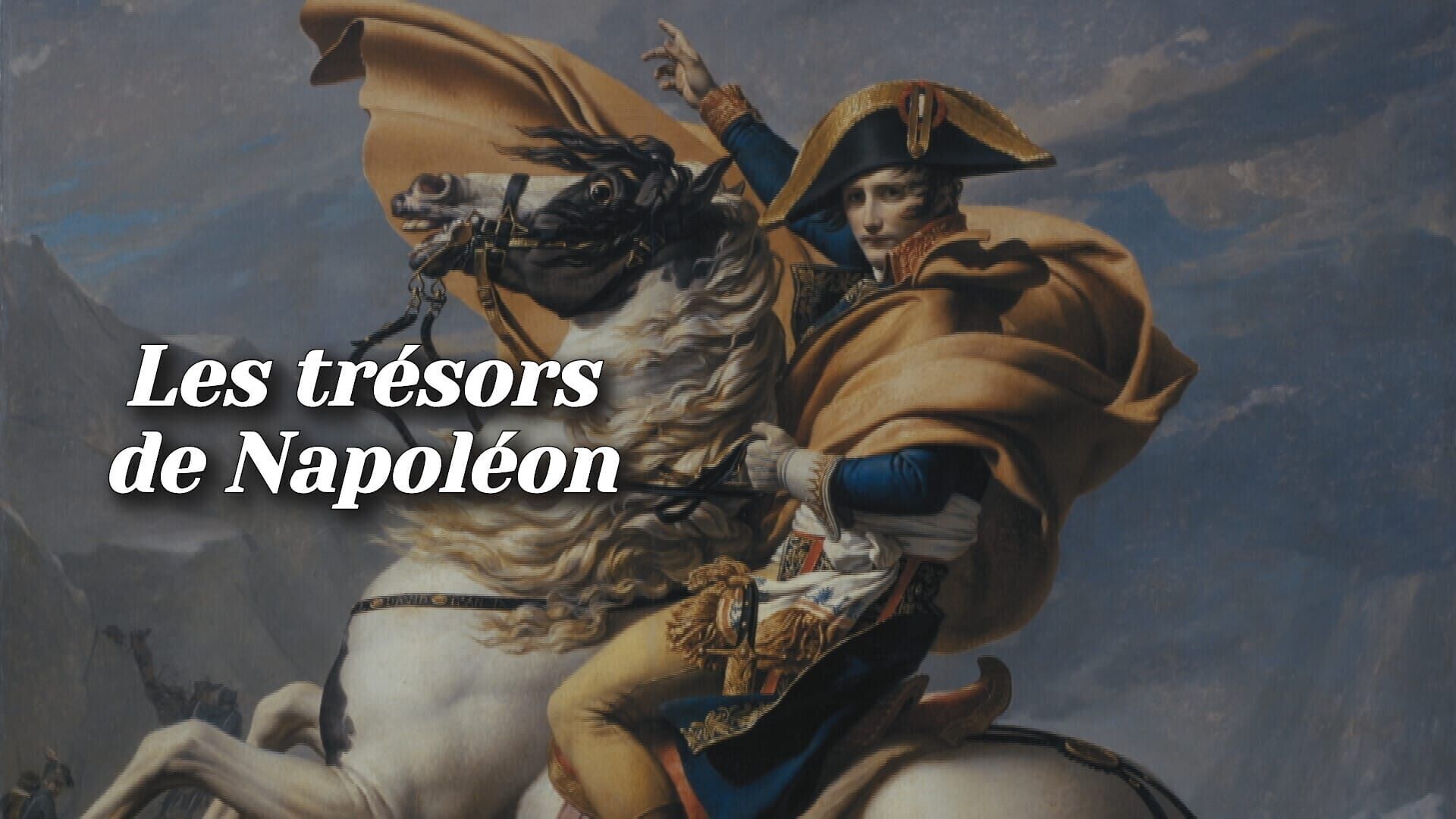 Vignette du programme télé Les trésors de Napoléon