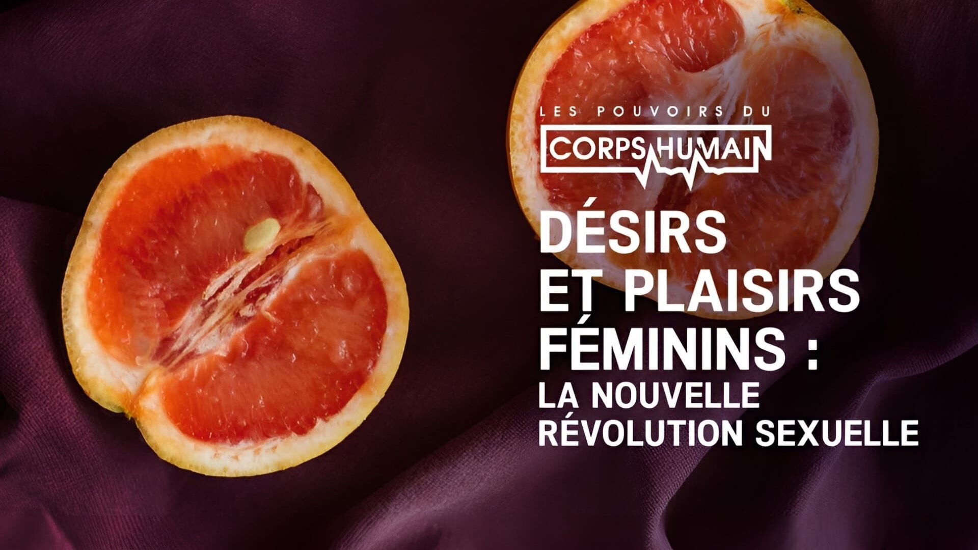 Vignette du programme télé Les pouvoirs extraordinaires du corps humain